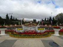 Jardin des fleurs