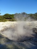 Wai-o-tapu : sources géothermiques
